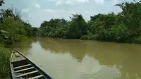 Penampakan Sungai Kriyan Cirebon salah satu lokasi yang kental dengan mitos dalam setiap peristiwa pencarian orang hilang di sungai tersebut. Foto (Liputan6.com / Panji Prayitno)