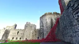 Karya seni bertajuk 'Jendela Menangis' ini dibuat untuk menghormati tentara Welsh yang meninggal selama Perang Dunia Pertama, Caernarfon Castle, Wales, Senin (17/10). (REUTERS / Rebecca Naden)