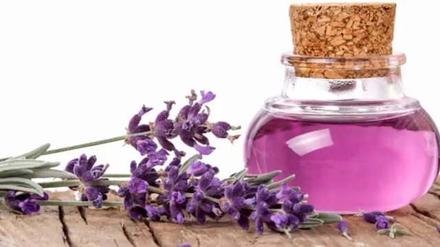 Foto: copyright thinkstockphotos.com