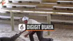 THUMBNAIL DIGIGIT