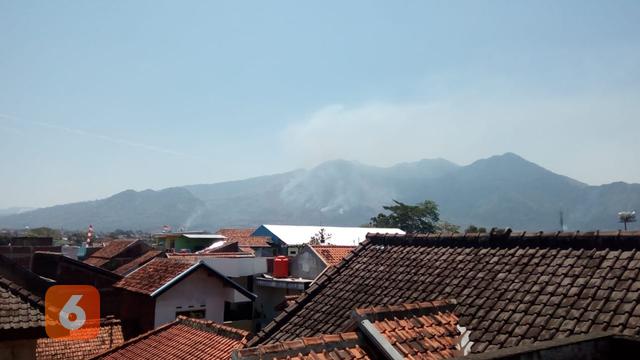 Temuan Polisi Terkait Kebakaran Hutan Di Gunung Guntur