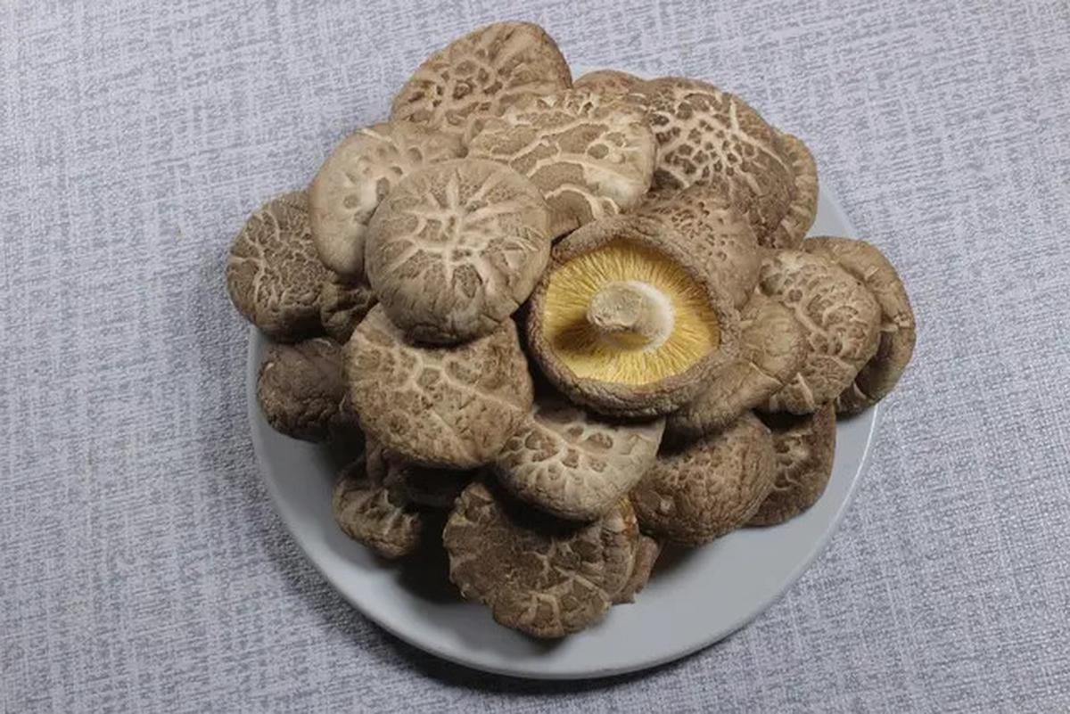 Resep Praktis Membuat Kaldu Jamur Tanpa MSG untuk Masakan Sehat