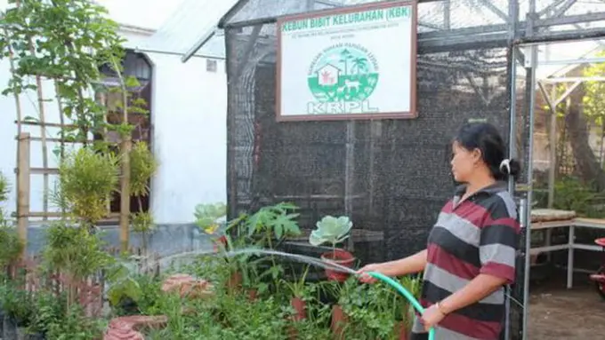 Courtesy Merdeka.com