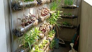 Kebun Sayur Mini Vertikal di Balkon Sempit (Foto: AI)
