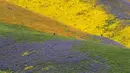 Fenomena 'Super Bloom' di bukit Tremblor Range, California, AS, Kamis (6/4). 'Super Bloom' adalah istilah yang dipakai penduduk setempat untuk menyebut ribuan bunga yang mekar bersamaan. . (AFP Photo/ Robyn Beck)