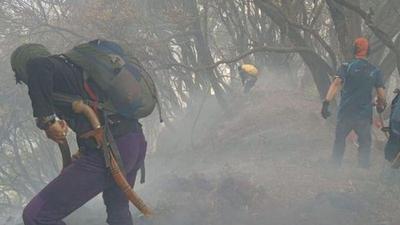 Kemenhut Tangani Cepat Kebakaran Gunung Gede Pangrango, Jalur Pendakian Ditutup Sementara