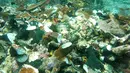 Kondisi terumbu karang di perairan Raja Ampat, Papua, Senin (13/3). Terumbu karang di perairan tersebut rusak akibat dihantam kapal pesiar Inggris, Caledonian Sky saat berlayar hingga wilayah perairan yang surut di Raja Ampat. (AFP Photo/Bakamla)