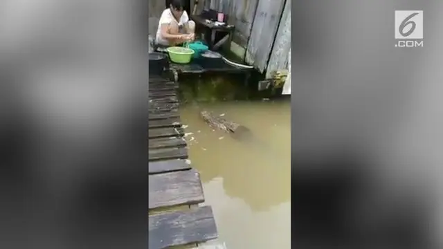 VIDEO: Luar Biasa, Emak-Emak Mencuci Sambil Ditemani Buaya
