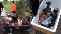 Video Penyelamatan Kucing saat Banjir di Kalimantan Selatan. (Sumber: TikTok/ @Indshr)