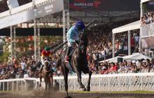 Catatkan Sejarah Baru, Kuda King Argentin Raih Gelar Triple Crown Indonesia