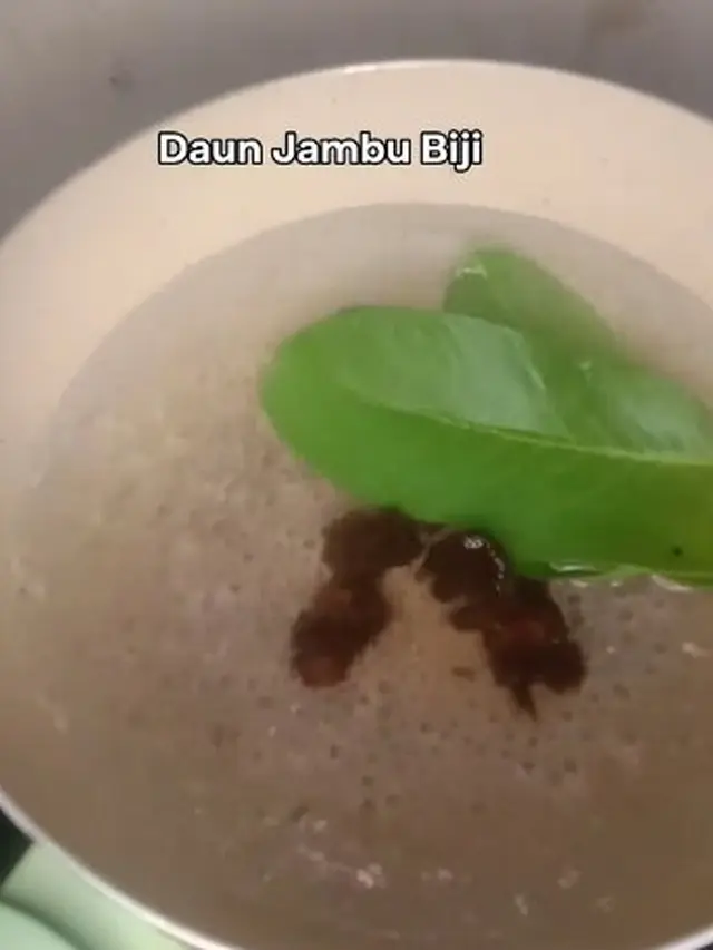 Rebusan asam jawa dan jambu biji (Sumber: TikTok/@trihartatiiii)