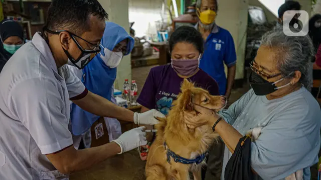 Vaksinasi Rabies untuk Hewan Peliharaan