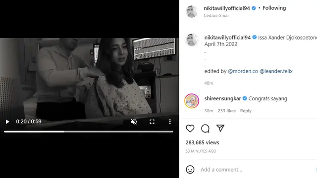 Nikita Willy