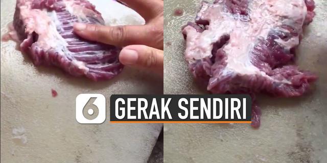 VIDEO: Viral Daging Kurban Gerak-Gerak Sendiri