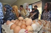 Harga Telur Melonjak Drastis, Pemkot Palu Sidak Ketersediaan Telur dan Daging Ayam, Ini Biang Keroknya!