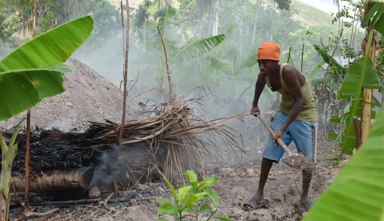 Jhonny Admeis saat membuat arang dari pohon buah-buahan Hurricane Matius di pinggiran Les Cayes, Haiti, (23/1). Peraturan tersebut untuk melindungi zona pemotongan kayu. (AP/David McFadden)