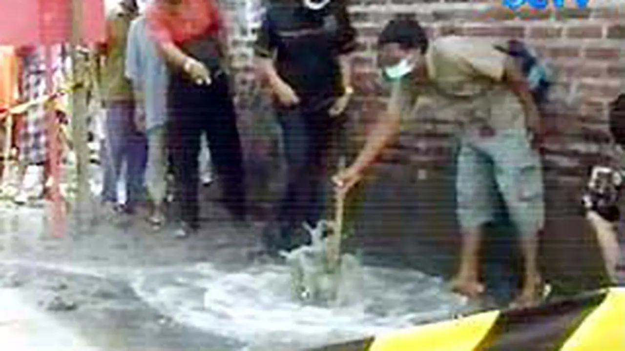 080503alapindo.jpg