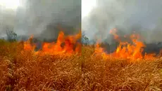 Kebakaran di Way Kambas Sulit Padam, Ini Penyebabnya