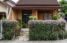 7 Tanaman Pagar Berbunga Sepanjang Tahun yang Mudah Dirawat, Cocok untuk Rumah Minimalis
