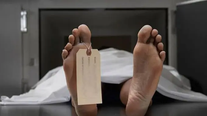 Kasus Mayat UGM, Suara Pria Jawab Panggilan Telepon Feby Kurnia