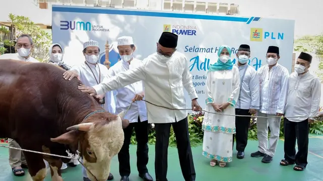 Pada tahun ini PLN dan Indonesia Power menyumbangkan 366 sapi dan 407 kambing yang akan disalurkan kepada 53.890 orang penerima. (Dok PLN)