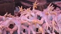 liputan6