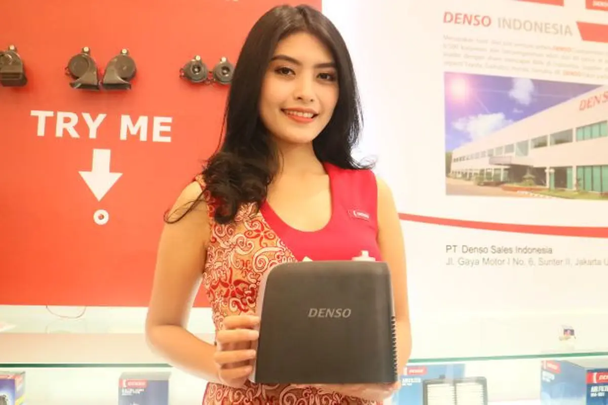 Denso Cleverin