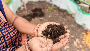 Ilustrasi Pupuk Kompos. (Unsplash - EqualStock)