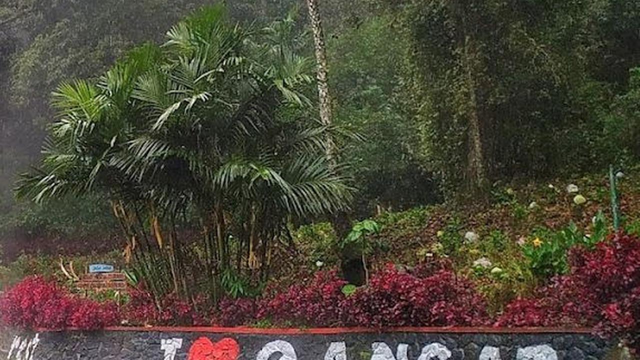 Sensasi Berendam Air Panas Cangar di Tengah Hutan Alami, Dipercaya Sembuhkan Berbagai Penyakit