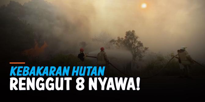 VIDEO: Kebakaran Hutan di Turki Renggut Delapan Nyawa