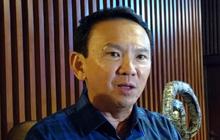 Ahok Yakin KIM Plus Tak Berani Lawan Kotak Kosong di Pilkada Jakarta