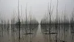 Kabut menutupi lanskap di daerah banjir dekat Sungai Ebro di desa kecil Alcala de Ebro, provinsi Aragon, Spanyol utara (13/12/2021). Hujan deras menyebabkan banjir di Spanyol utara. (AP Photo/Alvaro Barrientos)