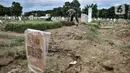 Petugas saat merapikan salah satu makam jenazah terkait Covid-19 di TPU Tegal Alur, Jakarta, Kamis (14/1/2021). Kepala Satuan Pelaksana TPU Tegal Alur Wawan Wahyudi mengungkapkan blok pemakaman muslim khusus jenazah terpapar Covid-19 telah penuh. (merdeka.com/Iqbal S. Nugroho)