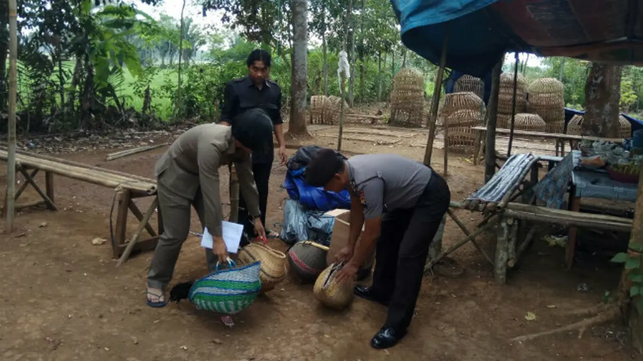 Sabung Ayam di Pekalongan