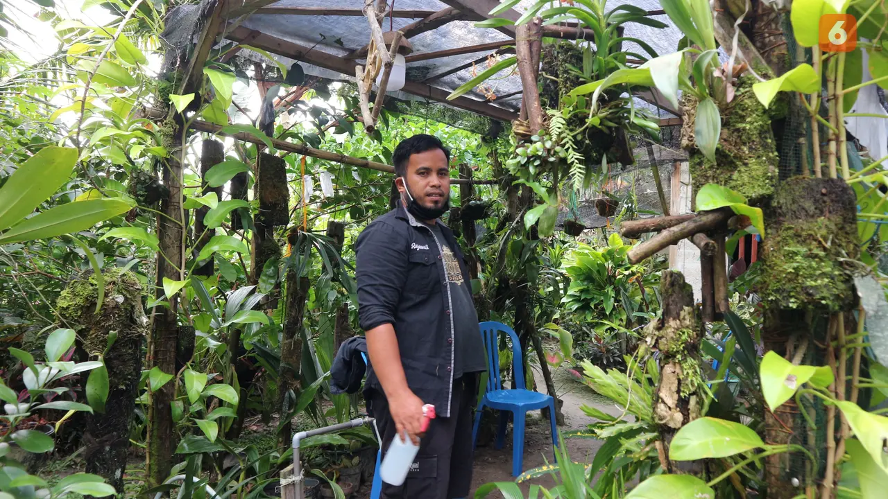 Sardin rumede, pegiat konservasi anggrek TN Lore Lindu