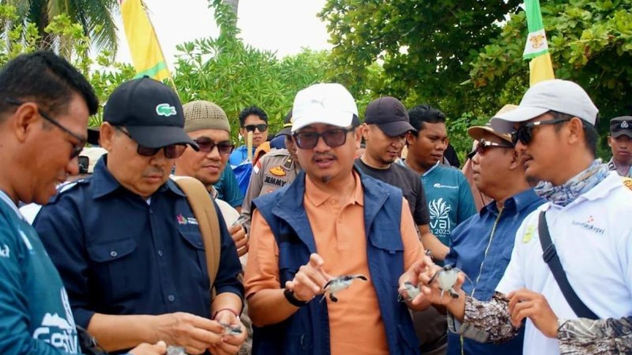 Fakta Unik Pulau Terluar: Pemdes Sepempang Gelar Pelepasan Tukik Natuna di Pulau Senua