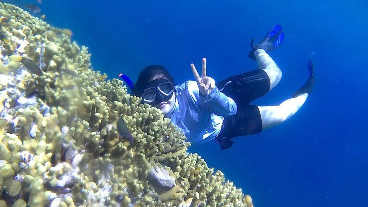 Snorkeling dan Diving