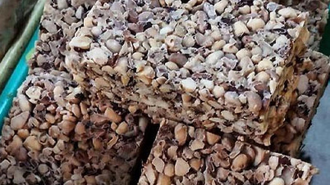 Tak Cuma Kedelai! 6 Kacang Ini Bisa Jadi Bahan Tempe Lezat dan Bergizi