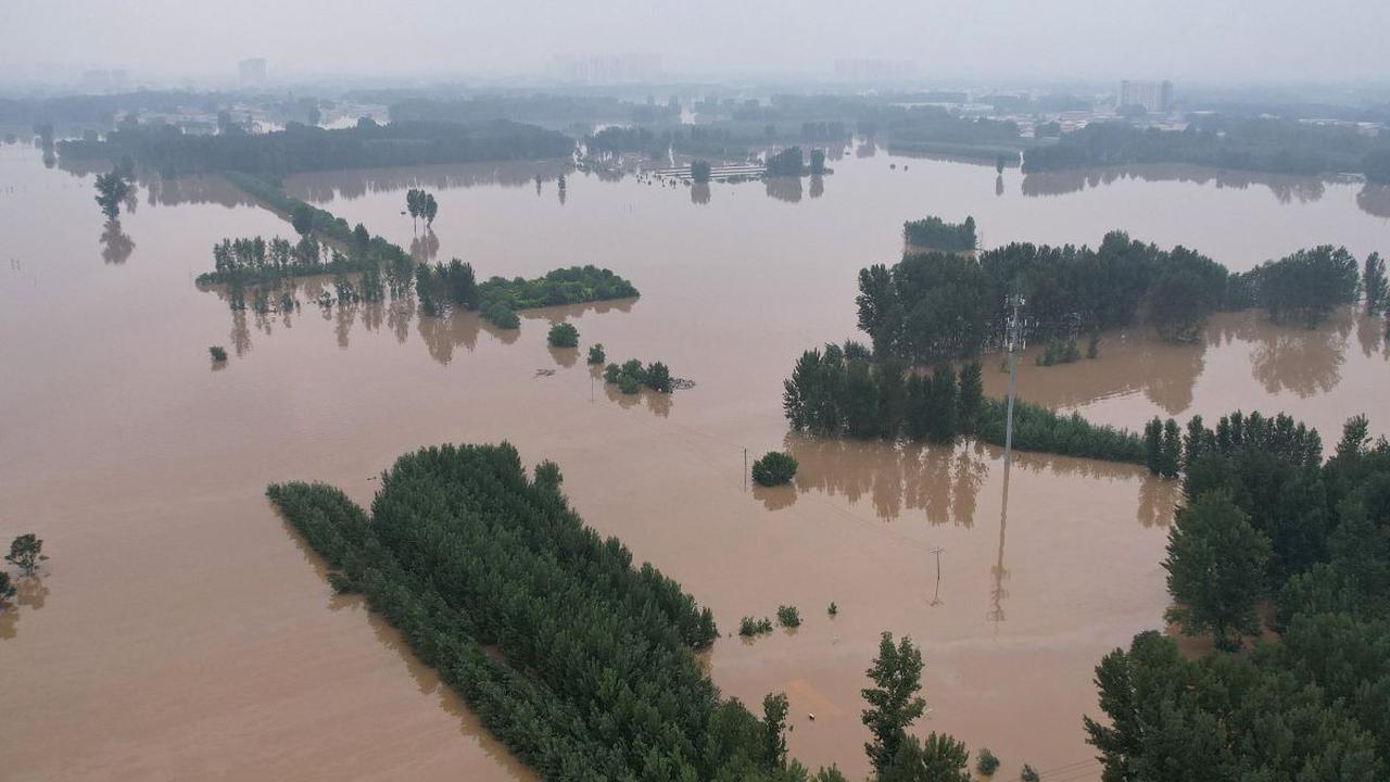 Genangan banjir juga telah merusak perkebunan jagung di sebuah desa yang terdampak banjir setelah hujan lebat akibat BAdai Doksuri di Zhuozhou, kota Baoding, di provinsi Hebei.