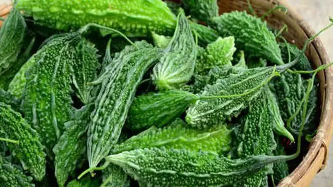 copyright shutterstock.com