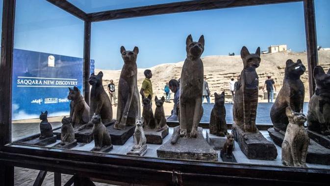 Mumi hewan seperti anak singa, kucing, burung, hingga beberapa buaya ditemukan di Mesir. (AFP/Khaled Desouki)