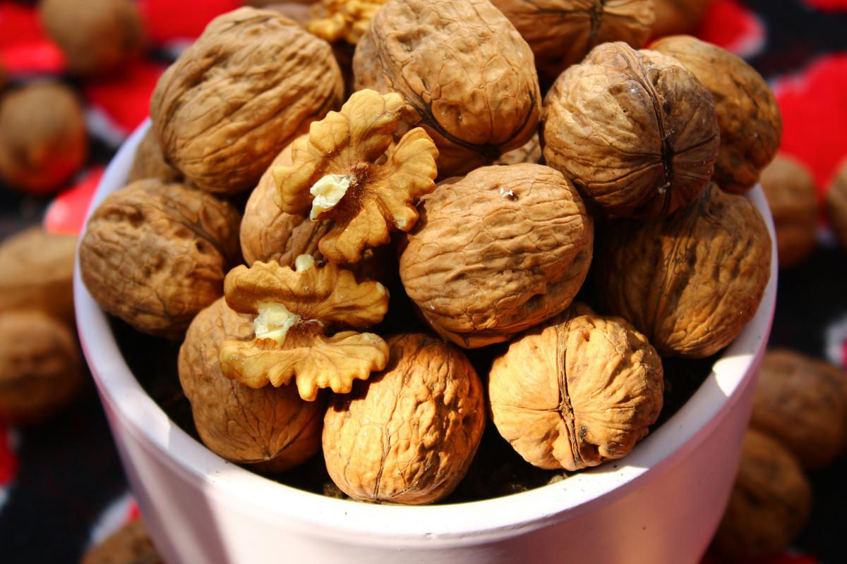 Kacang Kenari
