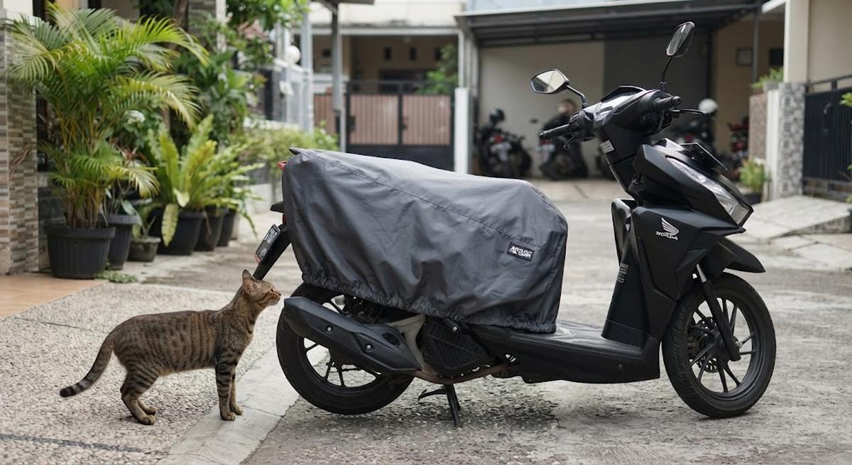 6 Cara Mencegah Kucing Naik ke Jok Motor Tanpa Menyakitinya, Mudah dan Praktis