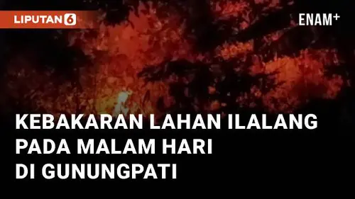 VIDEO: Viral Kebakaran Lahan Ilalang Pada Malam Hari di Sekaran Gunungpati