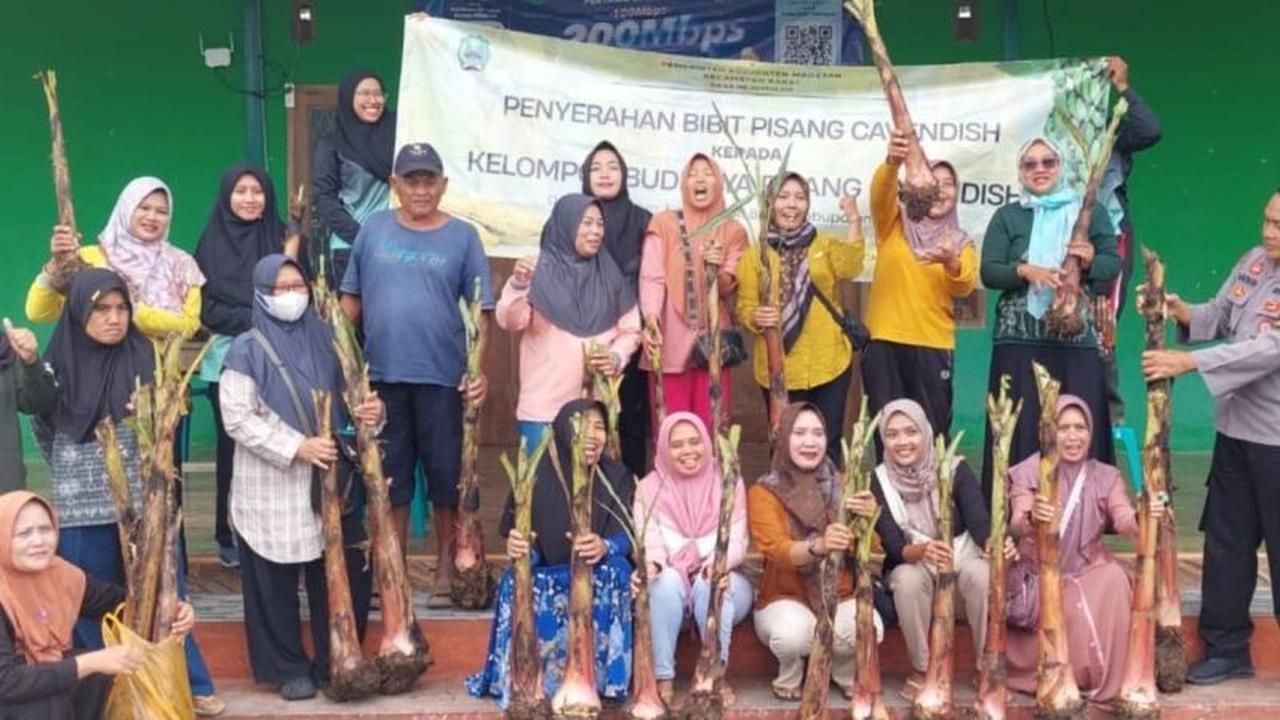 Pemkab Magetan Dukung Rejomulyo Jadi Sentra Pisang Cavendish, Perkuat Ketahanan Pangan