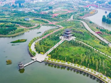 Foto udara pemandangan sebuah taman ekologi di Wilayah Cixian, Provinsi Hebei, China pada 24 September 2020. Dalam beberapa tahun terakhir, Cixian berupaya menyempurnakan pengelolaan sungai dan restorasi ekologi untuk meningkatkan kualitas sistem perairan di wilayah tersebut. (Xinhua/Wang Xiao)