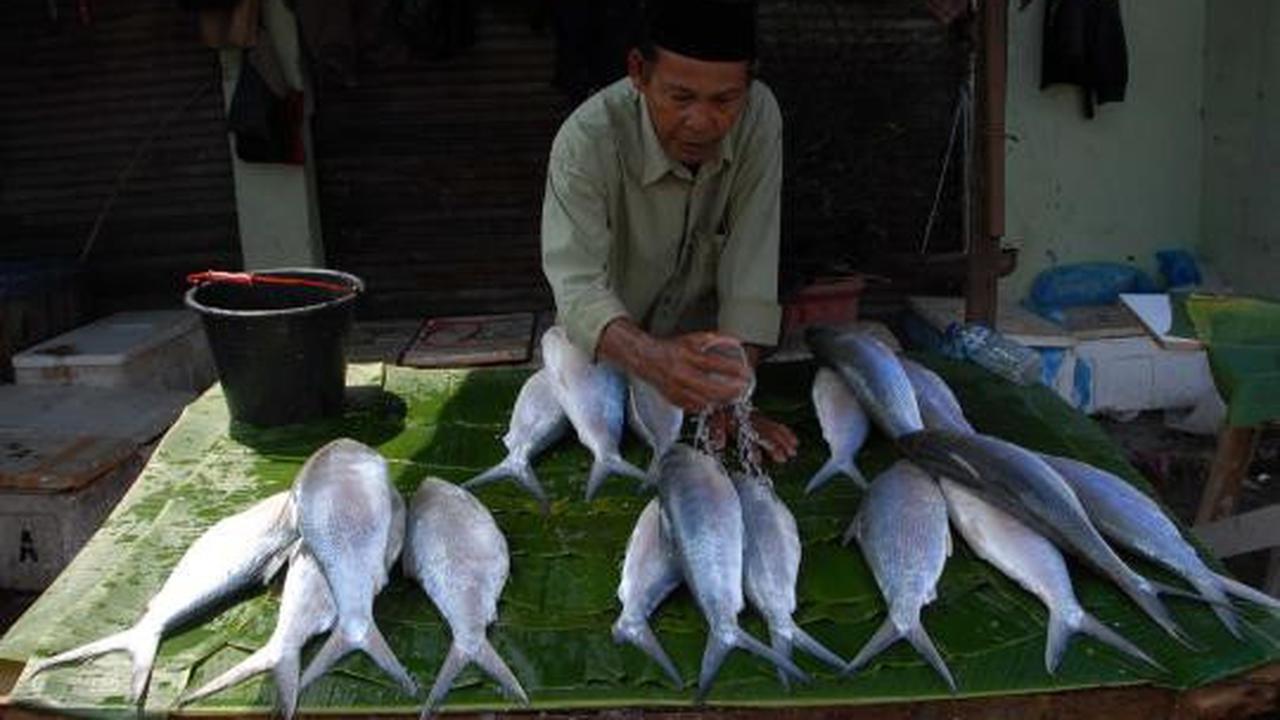 Jelang Imlek, harga Ikan Bandeng mengalami kenaikan