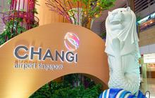 Mulai 2026 Harga Tiket Pesawat ke Singapura Naik, Ini Biang Keroknya
