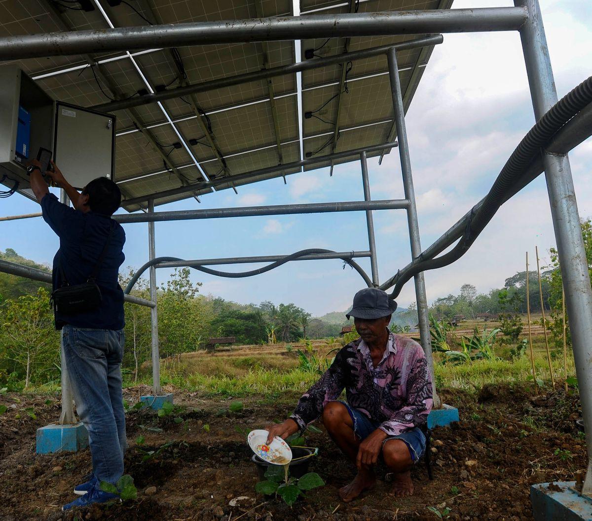 Seorang petani beraktivitas melakukan penyiraman saat&nbsp;Petugas dari Green Energy Nusantara Mandiri sedang melakukan pengecekan pada salah satu alat elektronik pada panel surya.