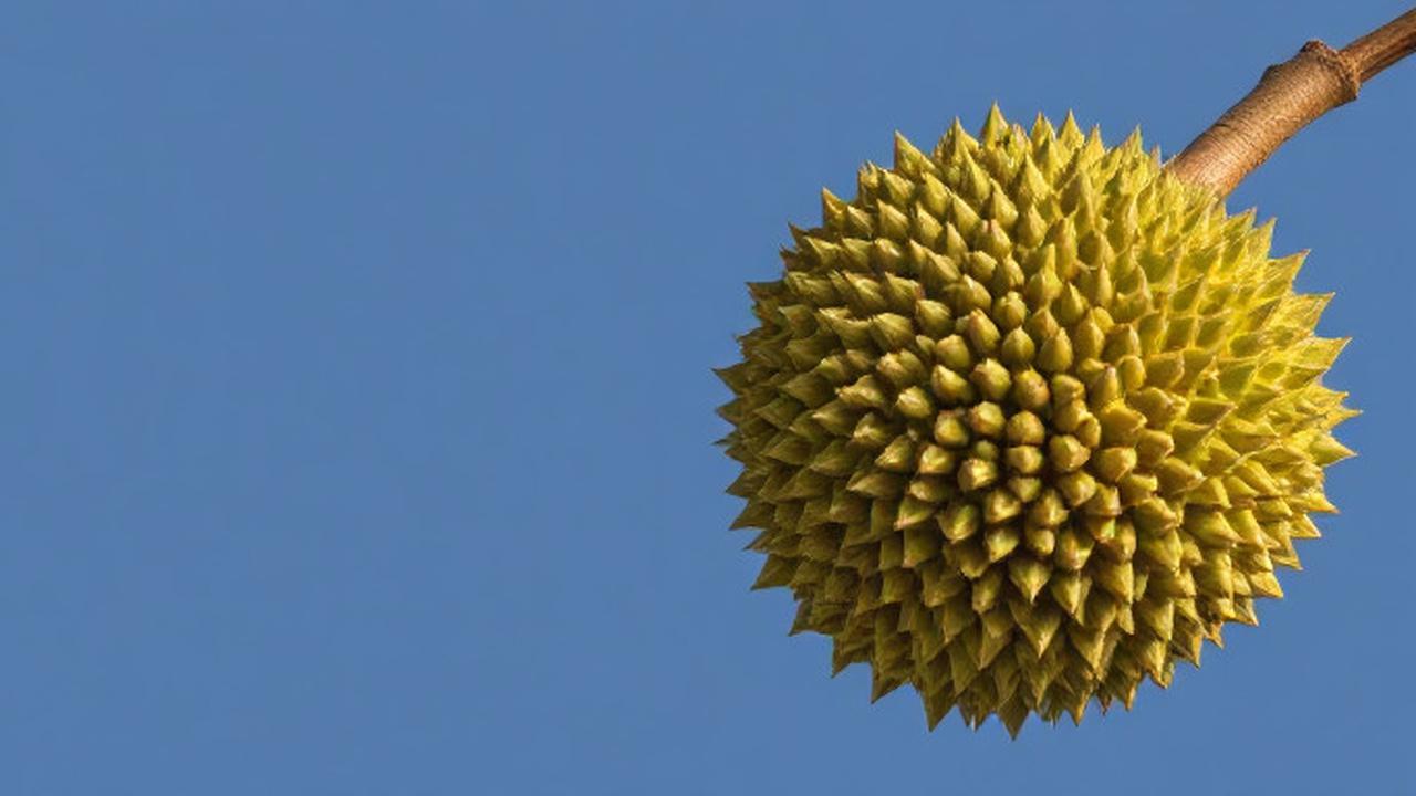 9 Prinsip Pola Makan Sehat bagi Pasien Penyakit Jantung, Salah Satunya Hindari Nangka dan Durian